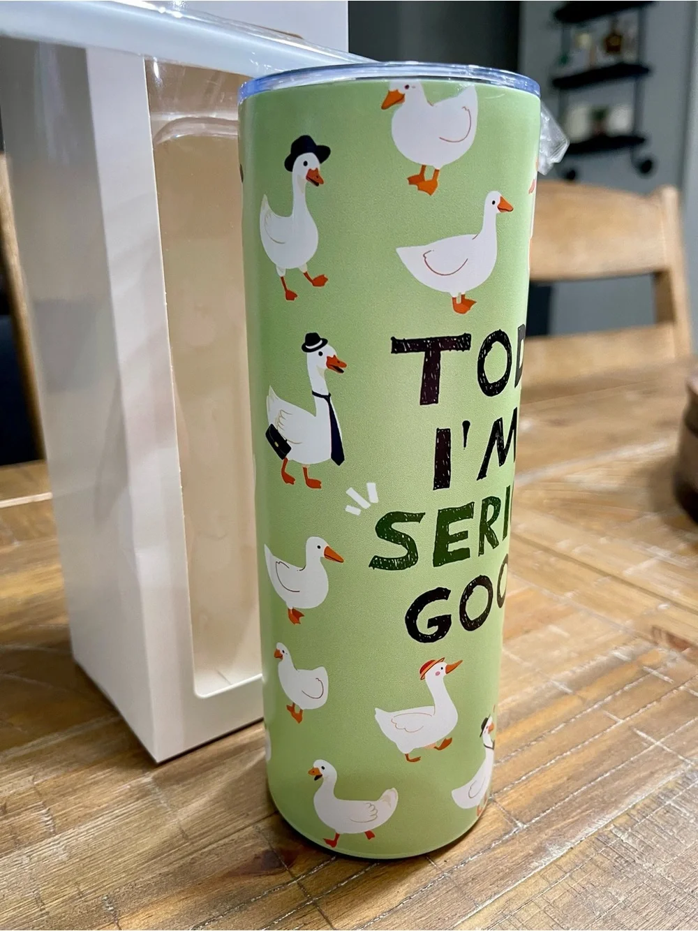 Today I'm A Serious Goose - 20oz Tumbler
